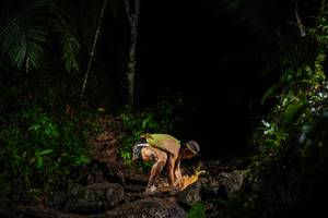 BIB: 
                            <button type="button" onclick="openModal(26436882)" class="btn btn-primary btn-sm float-right btn-popup" data-toggle="modal" data-target=".modal-high-quality">
                        <i class="fas fa-shopping-cart"></i> Add to Cart
                    </button>
                                            <button type="button" onclick="isThisMe(26436882, true)" class="btn btn-success btn-sm float-right btn-popup btn-isme hidden" data-toggle="tooltip" data-placement="bottom" title="นี่คือรูปของคุณใช่ไหม คลิกที่นี่เพื่อเอาเข้าอัลบั้ม">
                        <i class="fas fa-plus"></i> Add to album
                    </button>
                    <button type="button" onclick="isThisMe(26436882, false)" class="btn btn-warning btn-sm float-right btn-popup btn-isnotme hidden">
                        <i class="fas fa-ban"></i> Remove from album
                    </button>