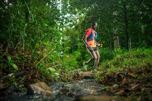 BIB: 
                            <button type="button" onclick="openModal(26470182)" class="btn btn-primary btn-sm float-right btn-popup" data-toggle="modal" data-target=".modal-high-quality">
                        <i class="fas fa-shopping-cart"></i> Add to Cart
                    </button>
                                            <button type="button" onclick="isThisMe(26470182, true)" class="btn btn-success btn-sm float-right btn-popup btn-isme hidden" data-toggle="tooltip" data-placement="bottom" title="นี่คือรูปของคุณใช่ไหม คลิกที่นี่เพื่อเอาเข้าอัลบั้ม">
                        <i class="fas fa-plus"></i> Add to album
                    </button>
                    <button type="button" onclick="isThisMe(26470182, false)" class="btn btn-warning btn-sm float-right btn-popup btn-isnotme hidden">
                        <i class="fas fa-ban"></i> Remove from album
                    </button>