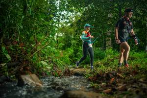 BIB: 
                            <button type="button" onclick="openModal(26477559)" class="btn btn-primary btn-sm float-right btn-popup" data-toggle="modal" data-target=".modal-high-quality">
                        <i class="fas fa-shopping-cart"></i> Add to Cart
                    </button>
                                            <button type="button" onclick="isThisMe(26477559, true)" class="btn btn-success btn-sm float-right btn-popup btn-isme hidden" data-toggle="tooltip" data-placement="bottom" title="นี่คือรูปของคุณใช่ไหม คลิกที่นี่เพื่อเอาเข้าอัลบั้ม">
                        <i class="fas fa-plus"></i> Add to album
                    </button>
                    <button type="button" onclick="isThisMe(26477559, false)" class="btn btn-warning btn-sm float-right btn-popup btn-isnotme hidden">
                        <i class="fas fa-ban"></i> Remove from album
                    </button>