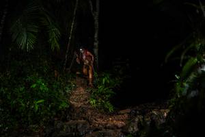 BIB: 
                            <button type="button" onclick="openModal(26437559)" class="btn btn-primary btn-sm float-right btn-popup" data-toggle="modal" data-target=".modal-high-quality">
                        <i class="fas fa-shopping-cart"></i> Add to Cart
                    </button>
                                            <button type="button" onclick="isThisMe(26437559, true)" class="btn btn-success btn-sm float-right btn-popup btn-isme hidden" data-toggle="tooltip" data-placement="bottom" title="นี่คือรูปของคุณใช่ไหม คลิกที่นี่เพื่อเอาเข้าอัลบั้ม">
                        <i class="fas fa-plus"></i> Add to album
                    </button>
                    <button type="button" onclick="isThisMe(26437559, false)" class="btn btn-warning btn-sm float-right btn-popup btn-isnotme hidden">
                        <i class="fas fa-ban"></i> Remove from album
                    </button>