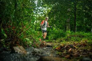 BIB: 
                            <button type="button" onclick="openModal(26473003)" class="btn btn-primary btn-sm float-right btn-popup" data-toggle="modal" data-target=".modal-high-quality">
                        <i class="fas fa-shopping-cart"></i> Add to Cart
                    </button>
                                            <button type="button" onclick="isThisMe(26473003, true)" class="btn btn-success btn-sm float-right btn-popup btn-isme hidden" data-toggle="tooltip" data-placement="bottom" title="นี่คือรูปของคุณใช่ไหม คลิกที่นี่เพื่อเอาเข้าอัลบั้ม">
                        <i class="fas fa-plus"></i> Add to album
                    </button>
                    <button type="button" onclick="isThisMe(26473003, false)" class="btn btn-warning btn-sm float-right btn-popup btn-isnotme hidden">
                        <i class="fas fa-ban"></i> Remove from album
                    </button>