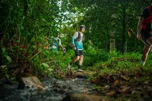 BIB: 
                            <button type="button" onclick="openModal(26476477)" class="btn btn-primary btn-sm float-right btn-popup" data-toggle="modal" data-target=".modal-high-quality">
                        <i class="fas fa-shopping-cart"></i> Add to Cart
                    </button>
                                            <button type="button" onclick="isThisMe(26476477, true)" class="btn btn-success btn-sm float-right btn-popup btn-isme hidden" data-toggle="tooltip" data-placement="bottom" title="นี่คือรูปของคุณใช่ไหม คลิกที่นี่เพื่อเอาเข้าอัลบั้ม">
                        <i class="fas fa-plus"></i> Add to album
                    </button>
                    <button type="button" onclick="isThisMe(26476477, false)" class="btn btn-warning btn-sm float-right btn-popup btn-isnotme hidden">
                        <i class="fas fa-ban"></i> Remove from album
                    </button>