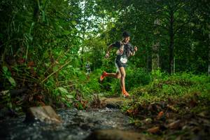 BIB: 
                            <button type="button" onclick="openModal(26475449)" class="btn btn-primary btn-sm float-right btn-popup" data-toggle="modal" data-target=".modal-high-quality">
                        <i class="fas fa-shopping-cart"></i> Add to Cart
                    </button>
                                            <button type="button" onclick="isThisMe(26475449, true)" class="btn btn-success btn-sm float-right btn-popup btn-isme hidden" data-toggle="tooltip" data-placement="bottom" title="นี่คือรูปของคุณใช่ไหม คลิกที่นี่เพื่อเอาเข้าอัลบั้ม">
                        <i class="fas fa-plus"></i> Add to album
                    </button>
                    <button type="button" onclick="isThisMe(26475449, false)" class="btn btn-warning btn-sm float-right btn-popup btn-isnotme hidden">
                        <i class="fas fa-ban"></i> Remove from album
                    </button>