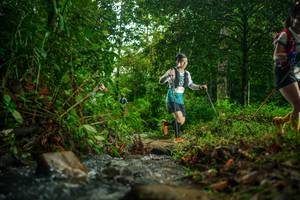 BIB: 
                            <button type="button" onclick="openModal(26475285)" class="btn btn-primary btn-sm float-right btn-popup" data-toggle="modal" data-target=".modal-high-quality">
                        <i class="fas fa-shopping-cart"></i> Add to Cart
                    </button>
                                            <button type="button" onclick="isThisMe(26475285, true)" class="btn btn-success btn-sm float-right btn-popup btn-isme hidden" data-toggle="tooltip" data-placement="bottom" title="นี่คือรูปของคุณใช่ไหม คลิกที่นี่เพื่อเอาเข้าอัลบั้ม">
                        <i class="fas fa-plus"></i> Add to album
                    </button>
                    <button type="button" onclick="isThisMe(26475285, false)" class="btn btn-warning btn-sm float-right btn-popup btn-isnotme hidden">
                        <i class="fas fa-ban"></i> Remove from album
                    </button>