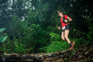 BIB: 
                            <button type="button" onclick="openModal(26485752)" class="btn btn-primary btn-sm float-right btn-popup" data-toggle="modal" data-target=".modal-high-quality">
                        <i class="fas fa-shopping-cart"></i> Add to Cart
                    </button>
                                            <button type="button" onclick="isThisMe(26485752, true)" class="btn btn-success btn-sm float-right btn-popup btn-isme hidden" data-toggle="tooltip" data-placement="bottom" title="นี่คือรูปของคุณใช่ไหม คลิกที่นี่เพื่อเอาเข้าอัลบั้ม">
                        <i class="fas fa-plus"></i> Add to album
                    </button>
                    <button type="button" onclick="isThisMe(26485752, false)" class="btn btn-warning btn-sm float-right btn-popup btn-isnotme hidden">
                        <i class="fas fa-ban"></i> Remove from album
                    </button>