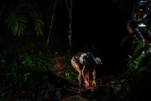 BIB: 
                            <button type="button" onclick="openModal(26437059)" class="btn btn-primary btn-sm float-right btn-popup" data-toggle="modal" data-target=".modal-high-quality">
                        <i class="fas fa-shopping-cart"></i> Add to Cart
                    </button>
                                            <button type="button" onclick="isThisMe(26437059, true)" class="btn btn-success btn-sm float-right btn-popup btn-isme hidden" data-toggle="tooltip" data-placement="bottom" title="นี่คือรูปของคุณใช่ไหม คลิกที่นี่เพื่อเอาเข้าอัลบั้ม">
                        <i class="fas fa-plus"></i> Add to album
                    </button>
                    <button type="button" onclick="isThisMe(26437059, false)" class="btn btn-warning btn-sm float-right btn-popup btn-isnotme hidden">
                        <i class="fas fa-ban"></i> Remove from album
                    </button>