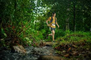 BIB: 
                            <button type="button" onclick="openModal(26474702)" class="btn btn-primary btn-sm float-right btn-popup" data-toggle="modal" data-target=".modal-high-quality">
                        <i class="fas fa-shopping-cart"></i> Add to Cart
                    </button>
                                            <button type="button" onclick="isThisMe(26474702, true)" class="btn btn-success btn-sm float-right btn-popup btn-isme hidden" data-toggle="tooltip" data-placement="bottom" title="นี่คือรูปของคุณใช่ไหม คลิกที่นี่เพื่อเอาเข้าอัลบั้ม">
                        <i class="fas fa-plus"></i> Add to album
                    </button>
                    <button type="button" onclick="isThisMe(26474702, false)" class="btn btn-warning btn-sm float-right btn-popup btn-isnotme hidden">
                        <i class="fas fa-ban"></i> Remove from album
                    </button>