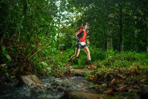 BIB: 
                            <button type="button" onclick="openModal(26471932)" class="btn btn-primary btn-sm float-right btn-popup" data-toggle="modal" data-target=".modal-high-quality">
                        <i class="fas fa-shopping-cart"></i> Add to Cart
                    </button>
                                            <button type="button" onclick="isThisMe(26471932, true)" class="btn btn-success btn-sm float-right btn-popup btn-isme hidden" data-toggle="tooltip" data-placement="bottom" title="นี่คือรูปของคุณใช่ไหม คลิกที่นี่เพื่อเอาเข้าอัลบั้ม">
                        <i class="fas fa-plus"></i> Add to album
                    </button>
                    <button type="button" onclick="isThisMe(26471932, false)" class="btn btn-warning btn-sm float-right btn-popup btn-isnotme hidden">
                        <i class="fas fa-ban"></i> Remove from album
                    </button>