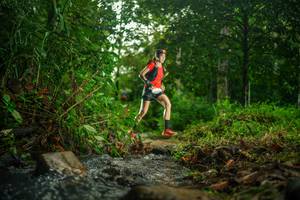 BIB: 
                            <button type="button" onclick="openModal(26471921)" class="btn btn-primary btn-sm float-right btn-popup" data-toggle="modal" data-target=".modal-high-quality">
                        <i class="fas fa-shopping-cart"></i> Add to Cart
                    </button>
                                            <button type="button" onclick="isThisMe(26471921, true)" class="btn btn-success btn-sm float-right btn-popup btn-isme hidden" data-toggle="tooltip" data-placement="bottom" title="นี่คือรูปของคุณใช่ไหม คลิกที่นี่เพื่อเอาเข้าอัลบั้ม">
                        <i class="fas fa-plus"></i> Add to album
                    </button>
                    <button type="button" onclick="isThisMe(26471921, false)" class="btn btn-warning btn-sm float-right btn-popup btn-isnotme hidden">
                        <i class="fas fa-ban"></i> Remove from album
                    </button>