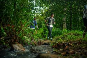 BIB: 
                            <button type="button" onclick="openModal(26478732)" class="btn btn-primary btn-sm float-right btn-popup" data-toggle="modal" data-target=".modal-high-quality">
                        <i class="fas fa-shopping-cart"></i> Add to Cart
                    </button>
                                            <button type="button" onclick="isThisMe(26478732, true)" class="btn btn-success btn-sm float-right btn-popup btn-isme hidden" data-toggle="tooltip" data-placement="bottom" title="นี่คือรูปของคุณใช่ไหม คลิกที่นี่เพื่อเอาเข้าอัลบั้ม">
                        <i class="fas fa-plus"></i> Add to album
                    </button>
                    <button type="button" onclick="isThisMe(26478732, false)" class="btn btn-warning btn-sm float-right btn-popup btn-isnotme hidden">
                        <i class="fas fa-ban"></i> Remove from album
                    </button>