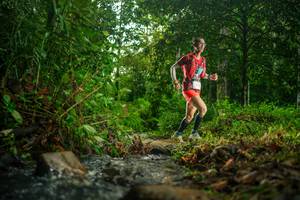 BIB: 
                            <button type="button" onclick="openModal(26471336)" class="btn btn-primary btn-sm float-right btn-popup" data-toggle="modal" data-target=".modal-high-quality">
                        <i class="fas fa-shopping-cart"></i> Add to Cart
                    </button>
                                            <button type="button" onclick="isThisMe(26471336, true)" class="btn btn-success btn-sm float-right btn-popup btn-isme hidden" data-toggle="tooltip" data-placement="bottom" title="นี่คือรูปของคุณใช่ไหม คลิกที่นี่เพื่อเอาเข้าอัลบั้ม">
                        <i class="fas fa-plus"></i> Add to album
                    </button>
                    <button type="button" onclick="isThisMe(26471336, false)" class="btn btn-warning btn-sm float-right btn-popup btn-isnotme hidden">
                        <i class="fas fa-ban"></i> Remove from album
                    </button>