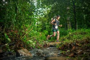 BIB: 
                            <button type="button" onclick="openModal(26469723)" class="btn btn-primary btn-sm float-right btn-popup" data-toggle="modal" data-target=".modal-high-quality">
                        <i class="fas fa-shopping-cart"></i> Add to Cart
                    </button>
                                            <button type="button" onclick="isThisMe(26469723, true)" class="btn btn-success btn-sm float-right btn-popup btn-isme hidden" data-toggle="tooltip" data-placement="bottom" title="นี่คือรูปของคุณใช่ไหม คลิกที่นี่เพื่อเอาเข้าอัลบั้ม">
                        <i class="fas fa-plus"></i> Add to album
                    </button>
                    <button type="button" onclick="isThisMe(26469723, false)" class="btn btn-warning btn-sm float-right btn-popup btn-isnotme hidden">
                        <i class="fas fa-ban"></i> Remove from album
                    </button>