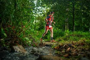 BIB: 
                            <button type="button" onclick="openModal(26472824)" class="btn btn-primary btn-sm float-right btn-popup" data-toggle="modal" data-target=".modal-high-quality">
                        <i class="fas fa-shopping-cart"></i> Add to Cart
                    </button>
                                            <button type="button" onclick="isThisMe(26472824, true)" class="btn btn-success btn-sm float-right btn-popup btn-isme hidden" data-toggle="tooltip" data-placement="bottom" title="นี่คือรูปของคุณใช่ไหม คลิกที่นี่เพื่อเอาเข้าอัลบั้ม">
                        <i class="fas fa-plus"></i> Add to album
                    </button>
                    <button type="button" onclick="isThisMe(26472824, false)" class="btn btn-warning btn-sm float-right btn-popup btn-isnotme hidden">
                        <i class="fas fa-ban"></i> Remove from album
                    </button>