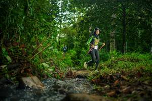 BIB: 
                            <button type="button" onclick="openModal(26476137)" class="btn btn-primary btn-sm float-right btn-popup" data-toggle="modal" data-target=".modal-high-quality">
                        <i class="fas fa-shopping-cart"></i> Add to Cart
                    </button>
                                            <button type="button" onclick="isThisMe(26476137, true)" class="btn btn-success btn-sm float-right btn-popup btn-isme hidden" data-toggle="tooltip" data-placement="bottom" title="นี่คือรูปของคุณใช่ไหม คลิกที่นี่เพื่อเอาเข้าอัลบั้ม">
                        <i class="fas fa-plus"></i> Add to album
                    </button>
                    <button type="button" onclick="isThisMe(26476137, false)" class="btn btn-warning btn-sm float-right btn-popup btn-isnotme hidden">
                        <i class="fas fa-ban"></i> Remove from album
                    </button>