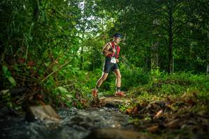 BIB: 
                            <button type="button" onclick="openModal(26473395)" class="btn btn-primary btn-sm float-right btn-popup" data-toggle="modal" data-target=".modal-high-quality">
                        <i class="fas fa-shopping-cart"></i> Add to Cart
                    </button>
                                            <button type="button" onclick="isThisMe(26473395, true)" class="btn btn-success btn-sm float-right btn-popup btn-isme hidden" data-toggle="tooltip" data-placement="bottom" title="นี่คือรูปของคุณใช่ไหม คลิกที่นี่เพื่อเอาเข้าอัลบั้ม">
                        <i class="fas fa-plus"></i> Add to album
                    </button>
                    <button type="button" onclick="isThisMe(26473395, false)" class="btn btn-warning btn-sm float-right btn-popup btn-isnotme hidden">
                        <i class="fas fa-ban"></i> Remove from album
                    </button>