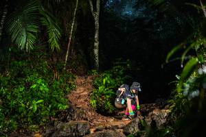 BIB: 
                            <button type="button" onclick="openModal(26438485)" class="btn btn-primary btn-sm float-right btn-popup" data-toggle="modal" data-target=".modal-high-quality">
                        <i class="fas fa-shopping-cart"></i> Add to Cart
                    </button>
                                            <button type="button" onclick="isThisMe(26438485, true)" class="btn btn-success btn-sm float-right btn-popup btn-isme hidden" data-toggle="tooltip" data-placement="bottom" title="นี่คือรูปของคุณใช่ไหม คลิกที่นี่เพื่อเอาเข้าอัลบั้ม">
                        <i class="fas fa-plus"></i> Add to album
                    </button>
                    <button type="button" onclick="isThisMe(26438485, false)" class="btn btn-warning btn-sm float-right btn-popup btn-isnotme hidden">
                        <i class="fas fa-ban"></i> Remove from album
                    </button>