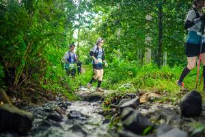 BIB: 
                            <button type="button" onclick="openModal(26448366)" class="btn btn-primary btn-sm float-right btn-popup" data-toggle="modal" data-target=".modal-high-quality">
                        <i class="fas fa-shopping-cart"></i> Add to Cart
                    </button>
                                            <button type="button" onclick="isThisMe(26448366, true)" class="btn btn-success btn-sm float-right btn-popup btn-isme hidden" data-toggle="tooltip" data-placement="bottom" title="นี่คือรูปของคุณใช่ไหม คลิกที่นี่เพื่อเอาเข้าอัลบั้ม">
                        <i class="fas fa-plus"></i> Add to album
                    </button>
                    <button type="button" onclick="isThisMe(26448366, false)" class="btn btn-warning btn-sm float-right btn-popup btn-isnotme hidden">
                        <i class="fas fa-ban"></i> Remove from album
                    </button>