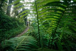 BIB: 
                            <button type="button" onclick="openModal(26501198)" class="btn btn-primary btn-sm float-right btn-popup" data-toggle="modal" data-target=".modal-high-quality">
                        <i class="fas fa-shopping-cart"></i> Add to Cart
                    </button>
                                            <button type="button" onclick="isThisMe(26501198, true)" class="btn btn-success btn-sm float-right btn-popup btn-isme hidden" data-toggle="tooltip" data-placement="bottom" title="นี่คือรูปของคุณใช่ไหม คลิกที่นี่เพื่อเอาเข้าอัลบั้ม">
                        <i class="fas fa-plus"></i> Add to album
                    </button>
                    <button type="button" onclick="isThisMe(26501198, false)" class="btn btn-warning btn-sm float-right btn-popup btn-isnotme hidden">
                        <i class="fas fa-ban"></i> Remove from album
                    </button>