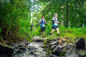 BIB: 
                            <button type="button" onclick="openModal(26448375)" class="btn btn-primary btn-sm float-right btn-popup" data-toggle="modal" data-target=".modal-high-quality">
                        <i class="fas fa-shopping-cart"></i> Add to Cart
                    </button>
                                            <button type="button" onclick="isThisMe(26448375, true)" class="btn btn-success btn-sm float-right btn-popup btn-isme hidden" data-toggle="tooltip" data-placement="bottom" title="นี่คือรูปของคุณใช่ไหม คลิกที่นี่เพื่อเอาเข้าอัลบั้ม">
                        <i class="fas fa-plus"></i> Add to album
                    </button>
                    <button type="button" onclick="isThisMe(26448375, false)" class="btn btn-warning btn-sm float-right btn-popup btn-isnotme hidden">
                        <i class="fas fa-ban"></i> Remove from album
                    </button>