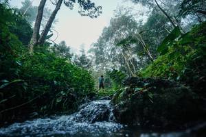 BIB: 
                            <button type="button" onclick="openModal(26501213)" class="btn btn-primary btn-sm float-right btn-popup" data-toggle="modal" data-target=".modal-high-quality">
                        <i class="fas fa-shopping-cart"></i> Add to Cart
                    </button>
                                            <button type="button" onclick="isThisMe(26501213, true)" class="btn btn-success btn-sm float-right btn-popup btn-isme hidden" data-toggle="tooltip" data-placement="bottom" title="นี่คือรูปของคุณใช่ไหม คลิกที่นี่เพื่อเอาเข้าอัลบั้ม">
                        <i class="fas fa-plus"></i> Add to album
                    </button>
                    <button type="button" onclick="isThisMe(26501213, false)" class="btn btn-warning btn-sm float-right btn-popup btn-isnotme hidden">
                        <i class="fas fa-ban"></i> Remove from album
                    </button>