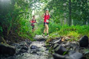 BIB: 
                            <button type="button" onclick="openModal(26447933)" class="btn btn-primary btn-sm float-right btn-popup" data-toggle="modal" data-target=".modal-high-quality">
                        <i class="fas fa-shopping-cart"></i> Add to Cart
                    </button>
                                            <button type="button" onclick="isThisMe(26447933, true)" class="btn btn-success btn-sm float-right btn-popup btn-isme hidden" data-toggle="tooltip" data-placement="bottom" title="นี่คือรูปของคุณใช่ไหม คลิกที่นี่เพื่อเอาเข้าอัลบั้ม">
                        <i class="fas fa-plus"></i> Add to album
                    </button>
                    <button type="button" onclick="isThisMe(26447933, false)" class="btn btn-warning btn-sm float-right btn-popup btn-isnotme hidden">
                        <i class="fas fa-ban"></i> Remove from album
                    </button>