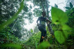 BIB: 
                            <button type="button" onclick="openModal(26501453)" class="btn btn-primary btn-sm float-right btn-popup" data-toggle="modal" data-target=".modal-high-quality">
                        <i class="fas fa-shopping-cart"></i> Add to Cart
                    </button>
                                            <button type="button" onclick="isThisMe(26501453, true)" class="btn btn-success btn-sm float-right btn-popup btn-isme hidden" data-toggle="tooltip" data-placement="bottom" title="นี่คือรูปของคุณใช่ไหม คลิกที่นี่เพื่อเอาเข้าอัลบั้ม">
                        <i class="fas fa-plus"></i> Add to album
                    </button>
                    <button type="button" onclick="isThisMe(26501453, false)" class="btn btn-warning btn-sm float-right btn-popup btn-isnotme hidden">
                        <i class="fas fa-ban"></i> Remove from album
                    </button>