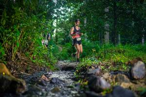 BIB: 
                            <button type="button" onclick="openModal(26446483)" class="btn btn-primary btn-sm float-right btn-popup" data-toggle="modal" data-target=".modal-high-quality">
                        <i class="fas fa-shopping-cart"></i> Add to Cart
                    </button>
                                            <button type="button" onclick="isThisMe(26446483, true)" class="btn btn-success btn-sm float-right btn-popup btn-isme hidden" data-toggle="tooltip" data-placement="bottom" title="นี่คือรูปของคุณใช่ไหม คลิกที่นี่เพื่อเอาเข้าอัลบั้ม">
                        <i class="fas fa-plus"></i> Add to album
                    </button>
                    <button type="button" onclick="isThisMe(26446483, false)" class="btn btn-warning btn-sm float-right btn-popup btn-isnotme hidden">
                        <i class="fas fa-ban"></i> Remove from album
                    </button>