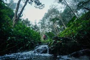 BIB: 
                            <button type="button" onclick="openModal(26501393)" class="btn btn-primary btn-sm float-right btn-popup" data-toggle="modal" data-target=".modal-high-quality">
                        <i class="fas fa-shopping-cart"></i> Add to Cart
                    </button>
                                            <button type="button" onclick="isThisMe(26501393, true)" class="btn btn-success btn-sm float-right btn-popup btn-isme hidden" data-toggle="tooltip" data-placement="bottom" title="นี่คือรูปของคุณใช่ไหม คลิกที่นี่เพื่อเอาเข้าอัลบั้ม">
                        <i class="fas fa-plus"></i> Add to album
                    </button>
                    <button type="button" onclick="isThisMe(26501393, false)" class="btn btn-warning btn-sm float-right btn-popup btn-isnotme hidden">
                        <i class="fas fa-ban"></i> Remove from album
                    </button>