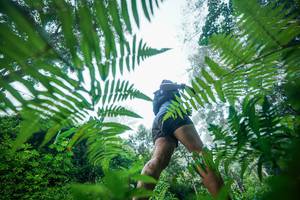 BIB: 
                            <button type="button" onclick="openModal(26501429)" class="btn btn-primary btn-sm float-right btn-popup" data-toggle="modal" data-target=".modal-high-quality">
                        <i class="fas fa-shopping-cart"></i> Add to Cart
                    </button>
                                            <button type="button" onclick="isThisMe(26501429, true)" class="btn btn-success btn-sm float-right btn-popup btn-isme hidden" data-toggle="tooltip" data-placement="bottom" title="นี่คือรูปของคุณใช่ไหม คลิกที่นี่เพื่อเอาเข้าอัลบั้ม">
                        <i class="fas fa-plus"></i> Add to album
                    </button>
                    <button type="button" onclick="isThisMe(26501429, false)" class="btn btn-warning btn-sm float-right btn-popup btn-isnotme hidden">
                        <i class="fas fa-ban"></i> Remove from album
                    </button>