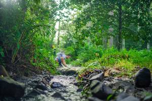 BIB: 
                            <button type="button" onclick="openModal(26447975)" class="btn btn-primary btn-sm float-right btn-popup" data-toggle="modal" data-target=".modal-high-quality">
                        <i class="fas fa-shopping-cart"></i> Add to Cart
                    </button>
                                            <button type="button" onclick="isThisMe(26447975, true)" class="btn btn-success btn-sm float-right btn-popup btn-isme hidden" data-toggle="tooltip" data-placement="bottom" title="นี่คือรูปของคุณใช่ไหม คลิกที่นี่เพื่อเอาเข้าอัลบั้ม">
                        <i class="fas fa-plus"></i> Add to album
                    </button>
                    <button type="button" onclick="isThisMe(26447975, false)" class="btn btn-warning btn-sm float-right btn-popup btn-isnotme hidden">
                        <i class="fas fa-ban"></i> Remove from album
                    </button>