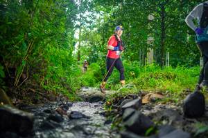 BIB: 
                            <button type="button" onclick="openModal(26448947)" class="btn btn-primary btn-sm float-right btn-popup" data-toggle="modal" data-target=".modal-high-quality">
                        <i class="fas fa-shopping-cart"></i> Add to Cart
                    </button>
                                            <button type="button" onclick="isThisMe(26448947, true)" class="btn btn-success btn-sm float-right btn-popup btn-isme hidden" data-toggle="tooltip" data-placement="bottom" title="นี่คือรูปของคุณใช่ไหม คลิกที่นี่เพื่อเอาเข้าอัลบั้ม">
                        <i class="fas fa-plus"></i> Add to album
                    </button>
                    <button type="button" onclick="isThisMe(26448947, false)" class="btn btn-warning btn-sm float-right btn-popup btn-isnotme hidden">
                        <i class="fas fa-ban"></i> Remove from album
                    </button>