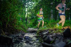 BIB: 
                            <button type="button" onclick="openModal(26447166)" class="btn btn-primary btn-sm float-right btn-popup" data-toggle="modal" data-target=".modal-high-quality">
                        <i class="fas fa-shopping-cart"></i> Add to Cart
                    </button>
                                            <button type="button" onclick="isThisMe(26447166, true)" class="btn btn-success btn-sm float-right btn-popup btn-isme hidden" data-toggle="tooltip" data-placement="bottom" title="นี่คือรูปของคุณใช่ไหม คลิกที่นี่เพื่อเอาเข้าอัลบั้ม">
                        <i class="fas fa-plus"></i> Add to album
                    </button>
                    <button type="button" onclick="isThisMe(26447166, false)" class="btn btn-warning btn-sm float-right btn-popup btn-isnotme hidden">
                        <i class="fas fa-ban"></i> Remove from album
                    </button>