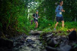 BIB: 
                            <button type="button" onclick="openModal(26446827)" class="btn btn-primary btn-sm float-right btn-popup" data-toggle="modal" data-target=".modal-high-quality">
                        <i class="fas fa-shopping-cart"></i> Add to Cart
                    </button>
                                            <button type="button" onclick="isThisMe(26446827, true)" class="btn btn-success btn-sm float-right btn-popup btn-isme hidden" data-toggle="tooltip" data-placement="bottom" title="นี่คือรูปของคุณใช่ไหม คลิกที่นี่เพื่อเอาเข้าอัลบั้ม">
                        <i class="fas fa-plus"></i> Add to album
                    </button>
                    <button type="button" onclick="isThisMe(26446827, false)" class="btn btn-warning btn-sm float-right btn-popup btn-isnotme hidden">
                        <i class="fas fa-ban"></i> Remove from album
                    </button>