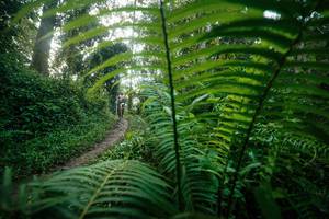 BIB: 
                            <button type="button" onclick="openModal(26501208)" class="btn btn-primary btn-sm float-right btn-popup" data-toggle="modal" data-target=".modal-high-quality">
                        <i class="fas fa-shopping-cart"></i> Add to Cart
                    </button>
                                            <button type="button" onclick="isThisMe(26501208, true)" class="btn btn-success btn-sm float-right btn-popup btn-isme hidden" data-toggle="tooltip" data-placement="bottom" title="นี่คือรูปของคุณใช่ไหม คลิกที่นี่เพื่อเอาเข้าอัลบั้ม">
                        <i class="fas fa-plus"></i> Add to album
                    </button>
                    <button type="button" onclick="isThisMe(26501208, false)" class="btn btn-warning btn-sm float-right btn-popup btn-isnotme hidden">
                        <i class="fas fa-ban"></i> Remove from album
                    </button>