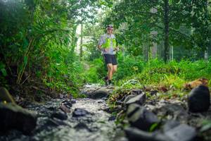 BIB: 
                            <button type="button" onclick="openModal(26447785)" class="btn btn-primary btn-sm float-right btn-popup" data-toggle="modal" data-target=".modal-high-quality">
                        <i class="fas fa-shopping-cart"></i> Add to Cart
                    </button>
                                            <button type="button" onclick="isThisMe(26447785, true)" class="btn btn-success btn-sm float-right btn-popup btn-isme hidden" data-toggle="tooltip" data-placement="bottom" title="นี่คือรูปของคุณใช่ไหม คลิกที่นี่เพื่อเอาเข้าอัลบั้ม">
                        <i class="fas fa-plus"></i> Add to album
                    </button>
                    <button type="button" onclick="isThisMe(26447785, false)" class="btn btn-warning btn-sm float-right btn-popup btn-isnotme hidden">
                        <i class="fas fa-ban"></i> Remove from album
                    </button>