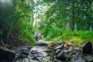 BIB: 
                            <button type="button" onclick="openModal(26447980)" class="btn btn-primary btn-sm float-right btn-popup" data-toggle="modal" data-target=".modal-high-quality">
                        <i class="fas fa-shopping-cart"></i> Add to Cart
                    </button>
                                            <button type="button" onclick="isThisMe(26447980, true)" class="btn btn-success btn-sm float-right btn-popup btn-isme hidden" data-toggle="tooltip" data-placement="bottom" title="นี่คือรูปของคุณใช่ไหม คลิกที่นี่เพื่อเอาเข้าอัลบั้ม">
                        <i class="fas fa-plus"></i> Add to album
                    </button>
                    <button type="button" onclick="isThisMe(26447980, false)" class="btn btn-warning btn-sm float-right btn-popup btn-isnotme hidden">
                        <i class="fas fa-ban"></i> Remove from album
                    </button>