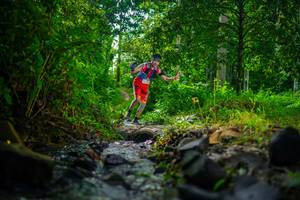 BIB: 
                            <button type="button" onclick="openModal(26450342)" class="btn btn-primary btn-sm float-right btn-popup" data-toggle="modal" data-target=".modal-high-quality">
                        <i class="fas fa-shopping-cart"></i> Add to Cart
                    </button>
                                            <button type="button" onclick="isThisMe(26450342, true)" class="btn btn-success btn-sm float-right btn-popup btn-isme hidden" data-toggle="tooltip" data-placement="bottom" title="นี่คือรูปของคุณใช่ไหม คลิกที่นี่เพื่อเอาเข้าอัลบั้ม">
                        <i class="fas fa-plus"></i> Add to album
                    </button>
                    <button type="button" onclick="isThisMe(26450342, false)" class="btn btn-warning btn-sm float-right btn-popup btn-isnotme hidden">
                        <i class="fas fa-ban"></i> Remove from album
                    </button>