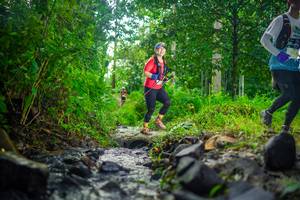 BIB: 
                            <button type="button" onclick="openModal(26448951)" class="btn btn-primary btn-sm float-right btn-popup" data-toggle="modal" data-target=".modal-high-quality">
                        <i class="fas fa-shopping-cart"></i> Add to Cart
                    </button>
                                            <button type="button" onclick="isThisMe(26448951, true)" class="btn btn-success btn-sm float-right btn-popup btn-isme hidden" data-toggle="tooltip" data-placement="bottom" title="นี่คือรูปของคุณใช่ไหม คลิกที่นี่เพื่อเอาเข้าอัลบั้ม">
                        <i class="fas fa-plus"></i> Add to album
                    </button>
                    <button type="button" onclick="isThisMe(26448951, false)" class="btn btn-warning btn-sm float-right btn-popup btn-isnotme hidden">
                        <i class="fas fa-ban"></i> Remove from album
                    </button>