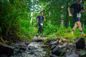 BIB: 
                            <button type="button" onclick="openModal(26448530)" class="btn btn-primary btn-sm float-right btn-popup" data-toggle="modal" data-target=".modal-high-quality">
                        <i class="fas fa-shopping-cart"></i> Add to Cart
                    </button>
                                            <button type="button" onclick="isThisMe(26448530, true)" class="btn btn-success btn-sm float-right btn-popup btn-isme hidden" data-toggle="tooltip" data-placement="bottom" title="นี่คือรูปของคุณใช่ไหม คลิกที่นี่เพื่อเอาเข้าอัลบั้ม">
                        <i class="fas fa-plus"></i> Add to album
                    </button>
                    <button type="button" onclick="isThisMe(26448530, false)" class="btn btn-warning btn-sm float-right btn-popup btn-isnotme hidden">
                        <i class="fas fa-ban"></i> Remove from album
                    </button>