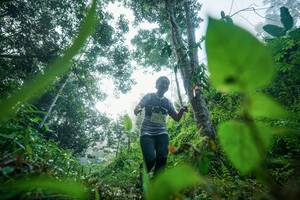 BIB: 
                            <button type="button" onclick="openModal(26501454)" class="btn btn-primary btn-sm float-right btn-popup" data-toggle="modal" data-target=".modal-high-quality">
                        <i class="fas fa-shopping-cart"></i> Add to Cart
                    </button>
                                            <button type="button" onclick="isThisMe(26501454, true)" class="btn btn-success btn-sm float-right btn-popup btn-isme hidden" data-toggle="tooltip" data-placement="bottom" title="นี่คือรูปของคุณใช่ไหม คลิกที่นี่เพื่อเอาเข้าอัลบั้ม">
                        <i class="fas fa-plus"></i> Add to album
                    </button>
                    <button type="button" onclick="isThisMe(26501454, false)" class="btn btn-warning btn-sm float-right btn-popup btn-isnotme hidden">
                        <i class="fas fa-ban"></i> Remove from album
                    </button>