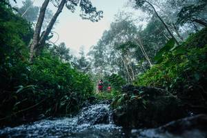 BIB: 
                            <button type="button" onclick="openModal(26501404)" class="btn btn-primary btn-sm float-right btn-popup" data-toggle="modal" data-target=".modal-high-quality">
                        <i class="fas fa-shopping-cart"></i> Add to Cart
                    </button>
                                            <button type="button" onclick="isThisMe(26501404, true)" class="btn btn-success btn-sm float-right btn-popup btn-isme hidden" data-toggle="tooltip" data-placement="bottom" title="นี่คือรูปของคุณใช่ไหม คลิกที่นี่เพื่อเอาเข้าอัลบั้ม">
                        <i class="fas fa-plus"></i> Add to album
                    </button>
                    <button type="button" onclick="isThisMe(26501404, false)" class="btn btn-warning btn-sm float-right btn-popup btn-isnotme hidden">
                        <i class="fas fa-ban"></i> Remove from album
                    </button>