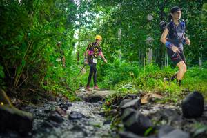 BIB: 
                            <button type="button" onclick="openModal(26448578)" class="btn btn-primary btn-sm float-right btn-popup" data-toggle="modal" data-target=".modal-high-quality">
                        <i class="fas fa-shopping-cart"></i> Add to Cart
                    </button>
                                            <button type="button" onclick="isThisMe(26448578, true)" class="btn btn-success btn-sm float-right btn-popup btn-isme hidden" data-toggle="tooltip" data-placement="bottom" title="นี่คือรูปของคุณใช่ไหม คลิกที่นี่เพื่อเอาเข้าอัลบั้ม">
                        <i class="fas fa-plus"></i> Add to album
                    </button>
                    <button type="button" onclick="isThisMe(26448578, false)" class="btn btn-warning btn-sm float-right btn-popup btn-isnotme hidden">
                        <i class="fas fa-ban"></i> Remove from album
                    </button>