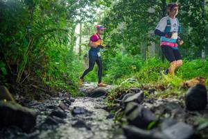 BIB: 
                            <button type="button" onclick="openModal(26447748)" class="btn btn-primary btn-sm float-right btn-popup" data-toggle="modal" data-target=".modal-high-quality">
                        <i class="fas fa-shopping-cart"></i> Add to Cart
                    </button>
                                            <button type="button" onclick="isThisMe(26447748, true)" class="btn btn-success btn-sm float-right btn-popup btn-isme hidden" data-toggle="tooltip" data-placement="bottom" title="นี่คือรูปของคุณใช่ไหม คลิกที่นี่เพื่อเอาเข้าอัลบั้ม">
                        <i class="fas fa-plus"></i> Add to album
                    </button>
                    <button type="button" onclick="isThisMe(26447748, false)" class="btn btn-warning btn-sm float-right btn-popup btn-isnotme hidden">
                        <i class="fas fa-ban"></i> Remove from album
                    </button>