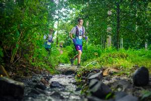 BIB: 
                            <button type="button" onclick="openModal(26448936)" class="btn btn-primary btn-sm float-right btn-popup" data-toggle="modal" data-target=".modal-high-quality">
                        <i class="fas fa-shopping-cart"></i> Add to Cart
                    </button>
                                            <button type="button" onclick="isThisMe(26448936, true)" class="btn btn-success btn-sm float-right btn-popup btn-isme hidden" data-toggle="tooltip" data-placement="bottom" title="นี่คือรูปของคุณใช่ไหม คลิกที่นี่เพื่อเอาเข้าอัลบั้ม">
                        <i class="fas fa-plus"></i> Add to album
                    </button>
                    <button type="button" onclick="isThisMe(26448936, false)" class="btn btn-warning btn-sm float-right btn-popup btn-isnotme hidden">
                        <i class="fas fa-ban"></i> Remove from album
                    </button>