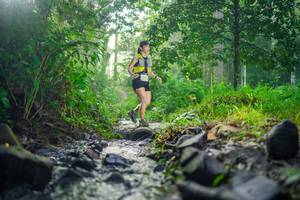 BIB: 
                            <button type="button" onclick="openModal(26447946)" class="btn btn-primary btn-sm float-right btn-popup" data-toggle="modal" data-target=".modal-high-quality">
                        <i class="fas fa-shopping-cart"></i> Add to Cart
                    </button>
                                            <button type="button" onclick="isThisMe(26447946, true)" class="btn btn-success btn-sm float-right btn-popup btn-isme hidden" data-toggle="tooltip" data-placement="bottom" title="นี่คือรูปของคุณใช่ไหม คลิกที่นี่เพื่อเอาเข้าอัลบั้ม">
                        <i class="fas fa-plus"></i> Add to album
                    </button>
                    <button type="button" onclick="isThisMe(26447946, false)" class="btn btn-warning btn-sm float-right btn-popup btn-isnotme hidden">
                        <i class="fas fa-ban"></i> Remove from album
                    </button>