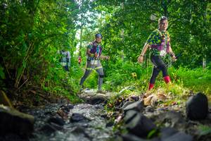 BIB: 
                            <button type="button" onclick="openModal(26449513)" class="btn btn-primary btn-sm float-right btn-popup" data-toggle="modal" data-target=".modal-high-quality">
                        <i class="fas fa-shopping-cart"></i> Add to Cart
                    </button>
                                            <button type="button" onclick="isThisMe(26449513, true)" class="btn btn-success btn-sm float-right btn-popup btn-isme hidden" data-toggle="tooltip" data-placement="bottom" title="นี่คือรูปของคุณใช่ไหม คลิกที่นี่เพื่อเอาเข้าอัลบั้ม">
                        <i class="fas fa-plus"></i> Add to album
                    </button>
                    <button type="button" onclick="isThisMe(26449513, false)" class="btn btn-warning btn-sm float-right btn-popup btn-isnotme hidden">
                        <i class="fas fa-ban"></i> Remove from album
                    </button>