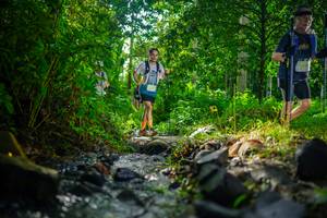 BIB: 
                            <button type="button" onclick="openModal(26450024)" class="btn btn-primary btn-sm float-right btn-popup" data-toggle="modal" data-target=".modal-high-quality">
                        <i class="fas fa-shopping-cart"></i> Add to Cart
                    </button>
                                            <button type="button" onclick="isThisMe(26450024, true)" class="btn btn-success btn-sm float-right btn-popup btn-isme hidden" data-toggle="tooltip" data-placement="bottom" title="นี่คือรูปของคุณใช่ไหม คลิกที่นี่เพื่อเอาเข้าอัลบั้ม">
                        <i class="fas fa-plus"></i> Add to album
                    </button>
                    <button type="button" onclick="isThisMe(26450024, false)" class="btn btn-warning btn-sm float-right btn-popup btn-isnotme hidden">
                        <i class="fas fa-ban"></i> Remove from album
                    </button>