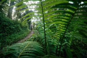 BIB: 
                            <button type="button" onclick="openModal(26501187)" class="btn btn-primary btn-sm float-right btn-popup" data-toggle="modal" data-target=".modal-high-quality">
                        <i class="fas fa-shopping-cart"></i> Add to Cart
                    </button>
                                            <button type="button" onclick="isThisMe(26501187, true)" class="btn btn-success btn-sm float-right btn-popup btn-isme hidden" data-toggle="tooltip" data-placement="bottom" title="นี่คือรูปของคุณใช่ไหม คลิกที่นี่เพื่อเอาเข้าอัลบั้ม">
                        <i class="fas fa-plus"></i> Add to album
                    </button>
                    <button type="button" onclick="isThisMe(26501187, false)" class="btn btn-warning btn-sm float-right btn-popup btn-isnotme hidden">
                        <i class="fas fa-ban"></i> Remove from album
                    </button>