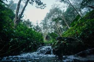 BIB: 
                            <button type="button" onclick="openModal(26501300)" class="btn btn-primary btn-sm float-right btn-popup" data-toggle="modal" data-target=".modal-high-quality">
                        <i class="fas fa-shopping-cart"></i> Add to Cart
                    </button>
                                            <button type="button" onclick="isThisMe(26501300, true)" class="btn btn-success btn-sm float-right btn-popup btn-isme hidden" data-toggle="tooltip" data-placement="bottom" title="นี่คือรูปของคุณใช่ไหม คลิกที่นี่เพื่อเอาเข้าอัลบั้ม">
                        <i class="fas fa-plus"></i> Add to album
                    </button>
                    <button type="button" onclick="isThisMe(26501300, false)" class="btn btn-warning btn-sm float-right btn-popup btn-isnotme hidden">
                        <i class="fas fa-ban"></i> Remove from album
                    </button>