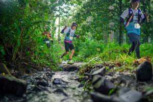 BIB: 
                            <button type="button" onclick="openModal(26447745)" class="btn btn-primary btn-sm float-right btn-popup" data-toggle="modal" data-target=".modal-high-quality">
                        <i class="fas fa-shopping-cart"></i> Add to Cart
                    </button>
                                            <button type="button" onclick="isThisMe(26447745, true)" class="btn btn-success btn-sm float-right btn-popup btn-isme hidden" data-toggle="tooltip" data-placement="bottom" title="นี่คือรูปของคุณใช่ไหม คลิกที่นี่เพื่อเอาเข้าอัลบั้ม">
                        <i class="fas fa-plus"></i> Add to album
                    </button>
                    <button type="button" onclick="isThisMe(26447745, false)" class="btn btn-warning btn-sm float-right btn-popup btn-isnotme hidden">
                        <i class="fas fa-ban"></i> Remove from album
                    </button>